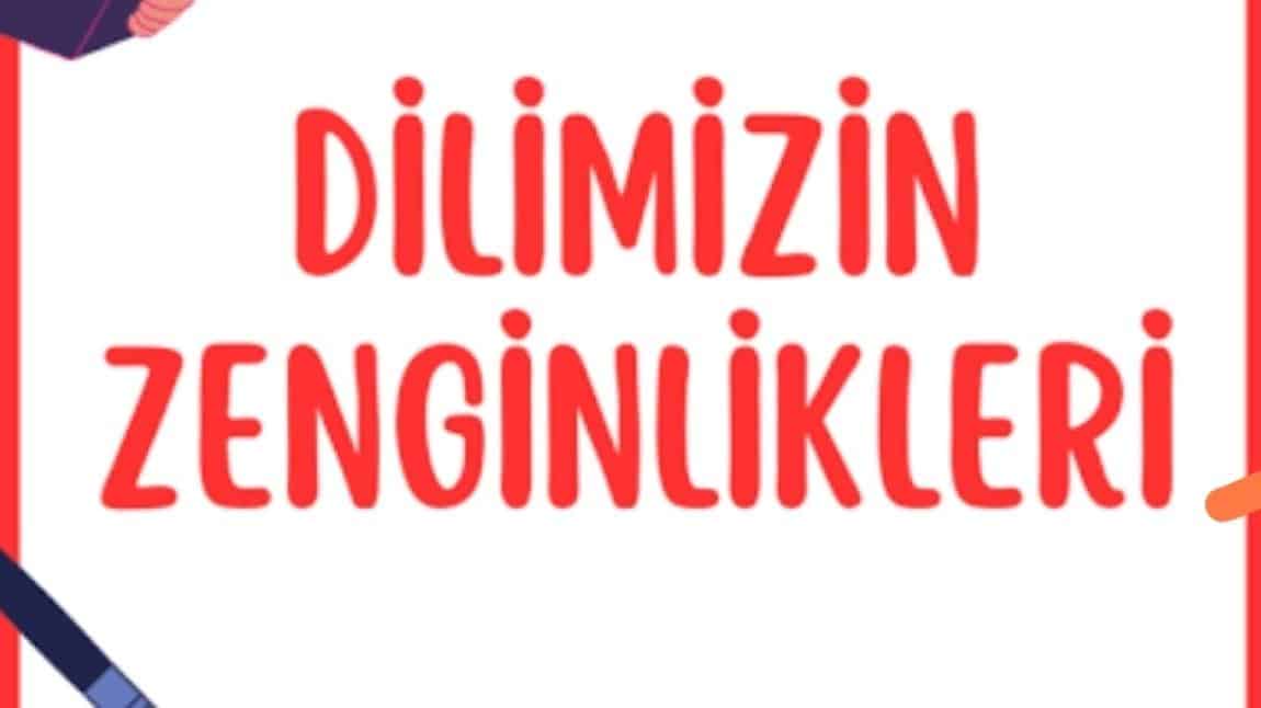 DİLİMİZİN ZENGİNLİKLERİ